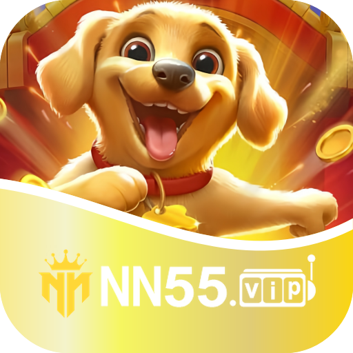 nn55